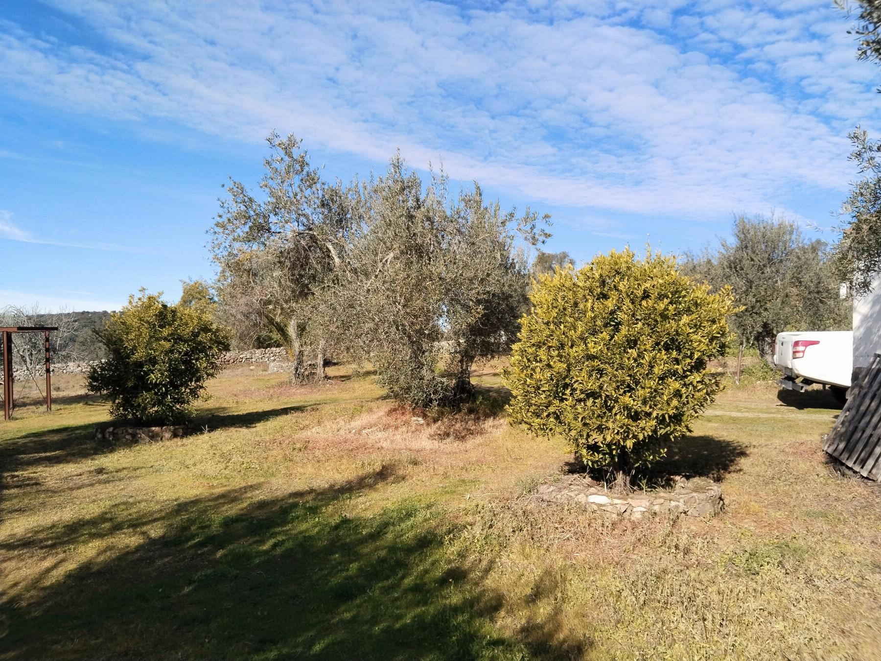 Venta de finca rústica en Fuentes de León