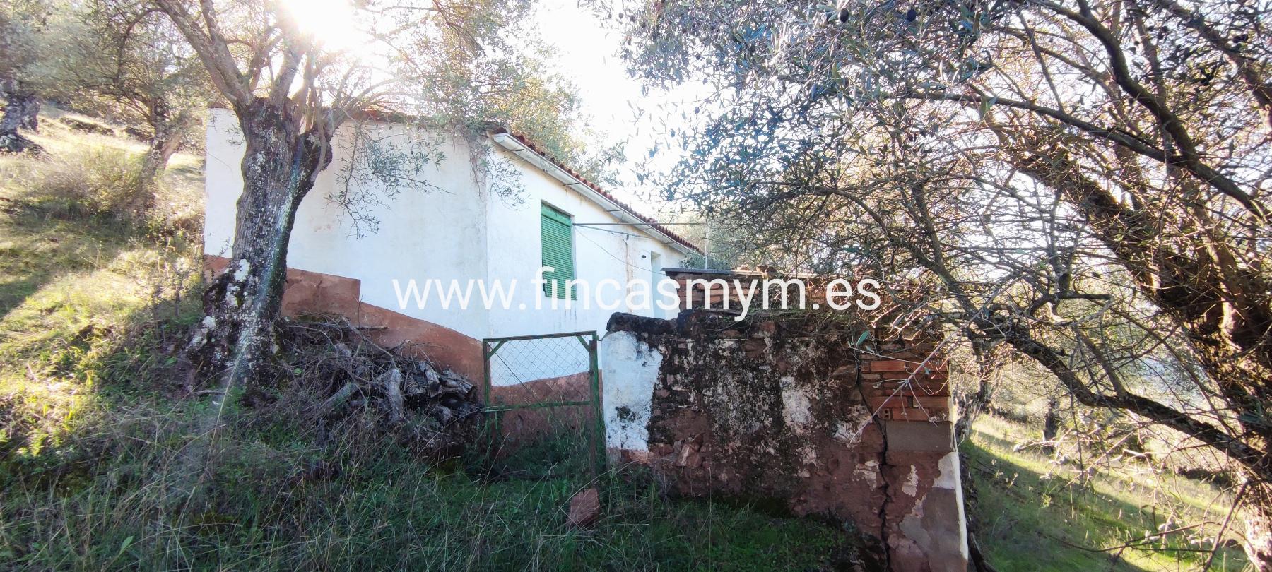 For sale of rural property in Fuentes de León