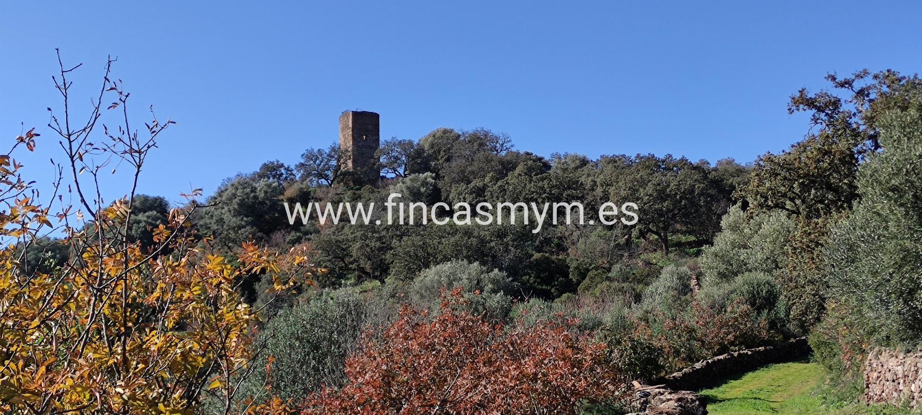 For sale of rural property in Fuentes de León