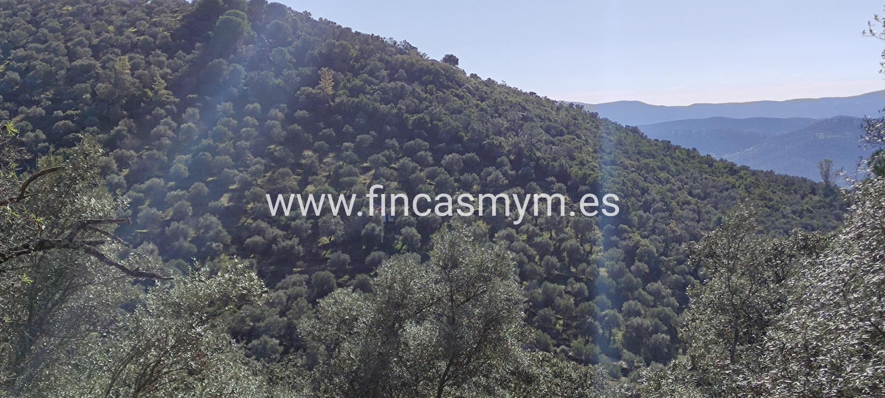 For sale of rural property in Fuentes de León