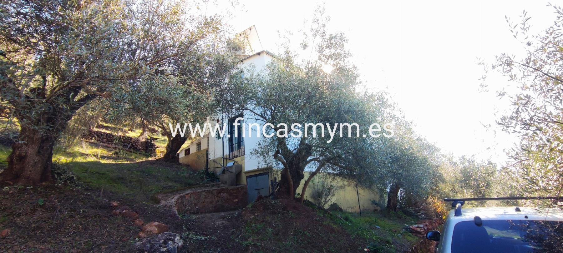 For sale of rural property in Fuentes de León