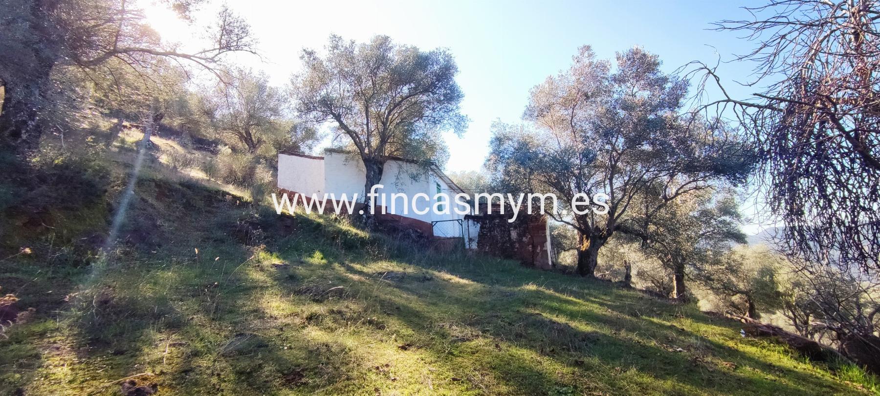 For sale of rural property in Fuentes de León