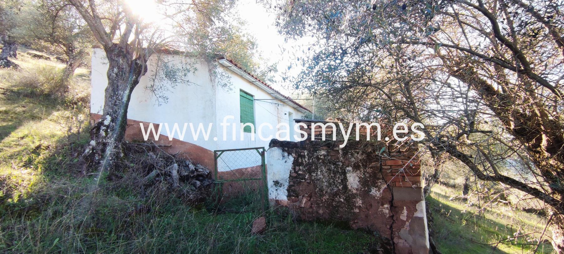 For sale of rural property in Fuentes de León