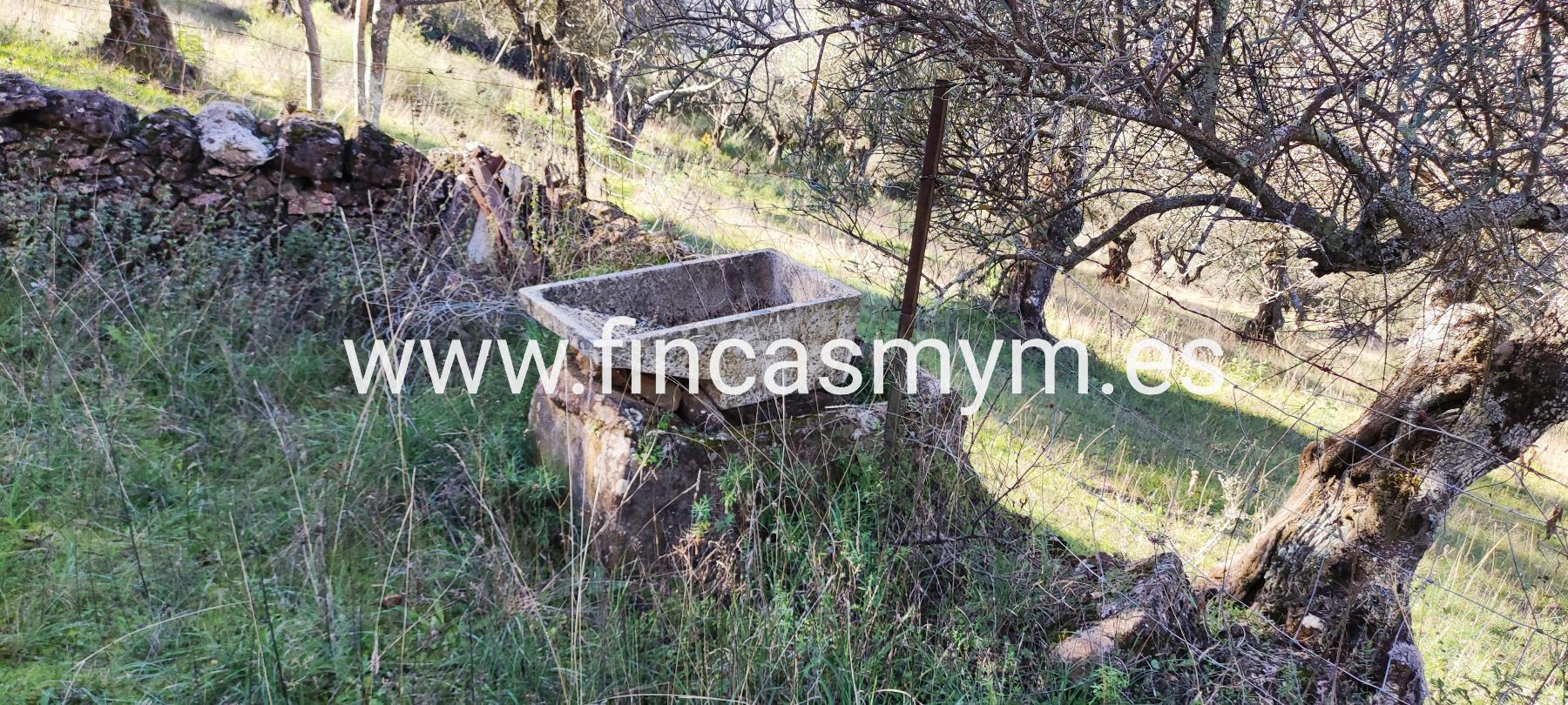 For sale of rural property in Fuentes de León
