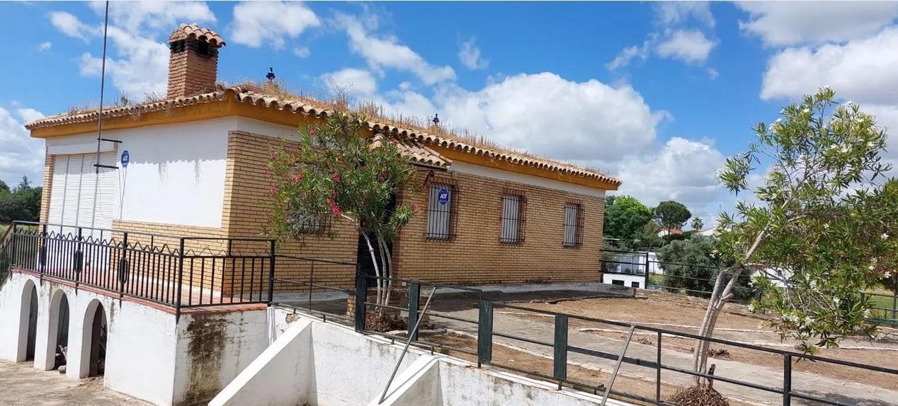 Venta de finca rústica en Sanlúcar la Mayor