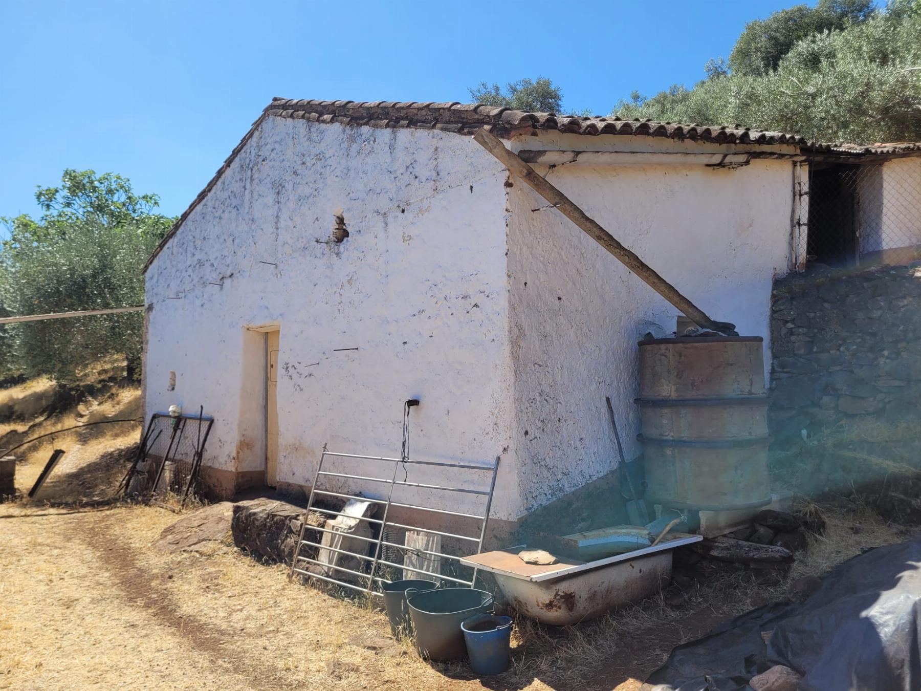 For sale of rural property in Fuentes de León