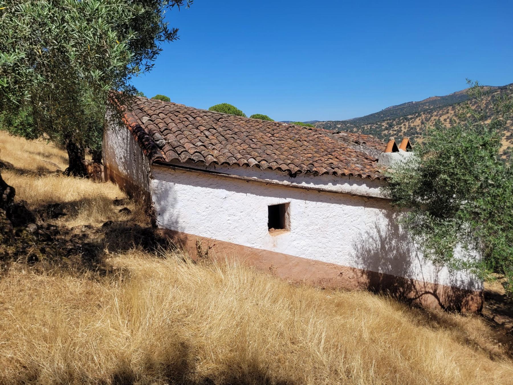 For sale of rural property in Fuentes de León
