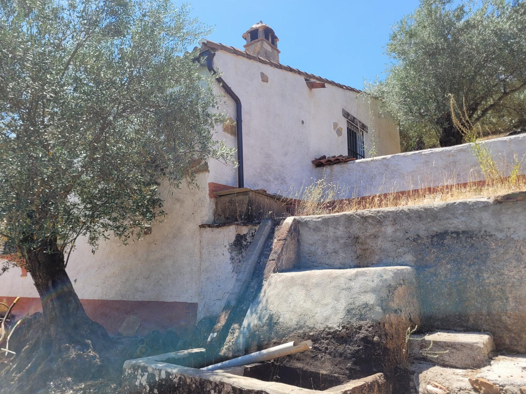 For sale of rural property in Fuentes de León