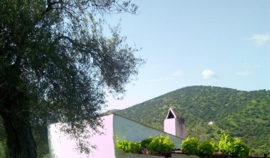 For sale of rural property in Fuentes de León
