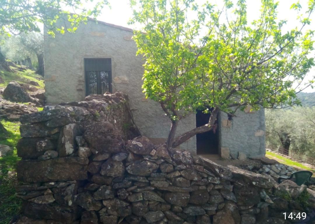 For sale of rural property in Fuentes de León
