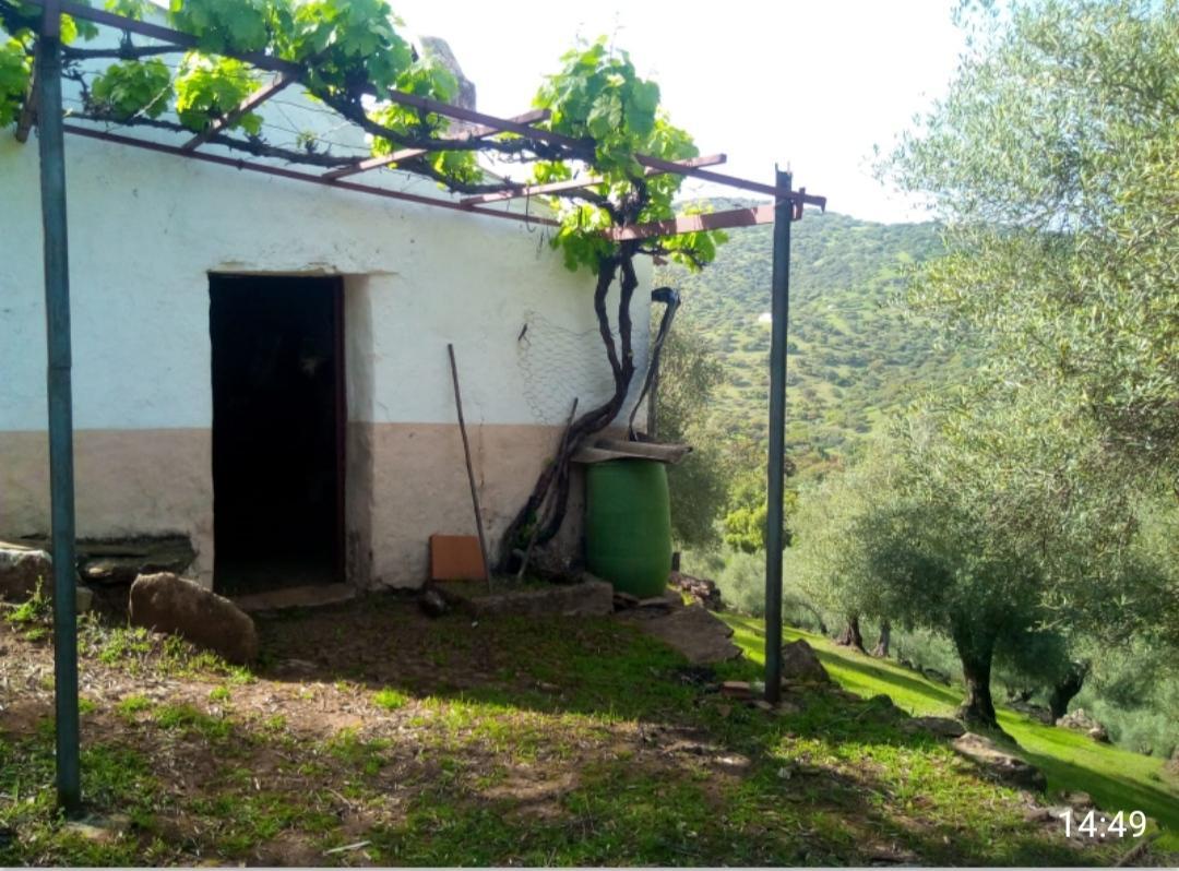 For sale of rural property in Fuentes de León