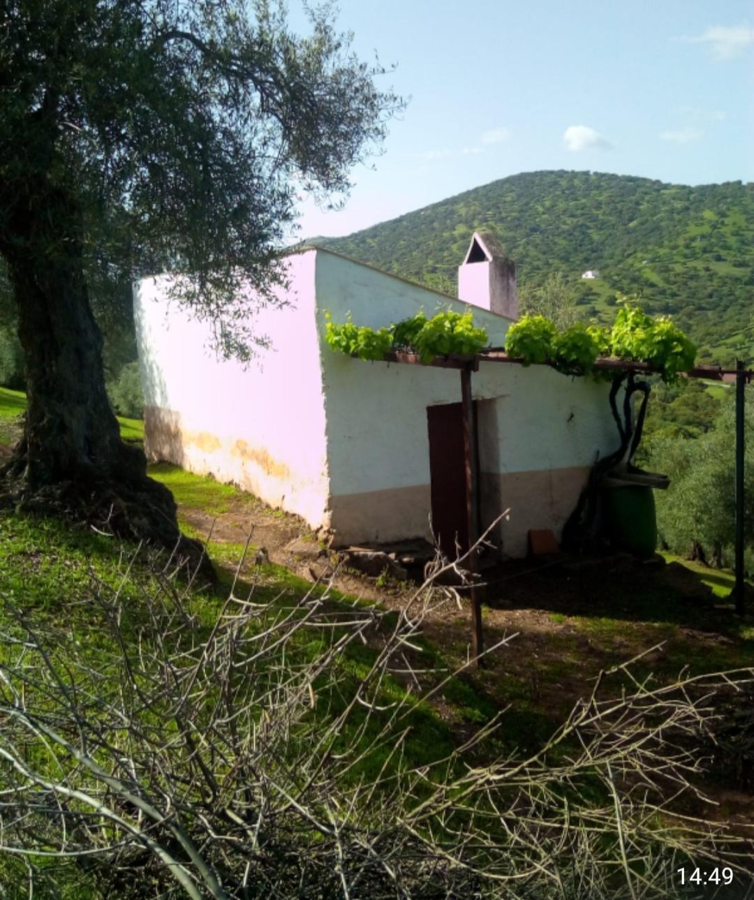 For sale of rural property in Fuentes de León