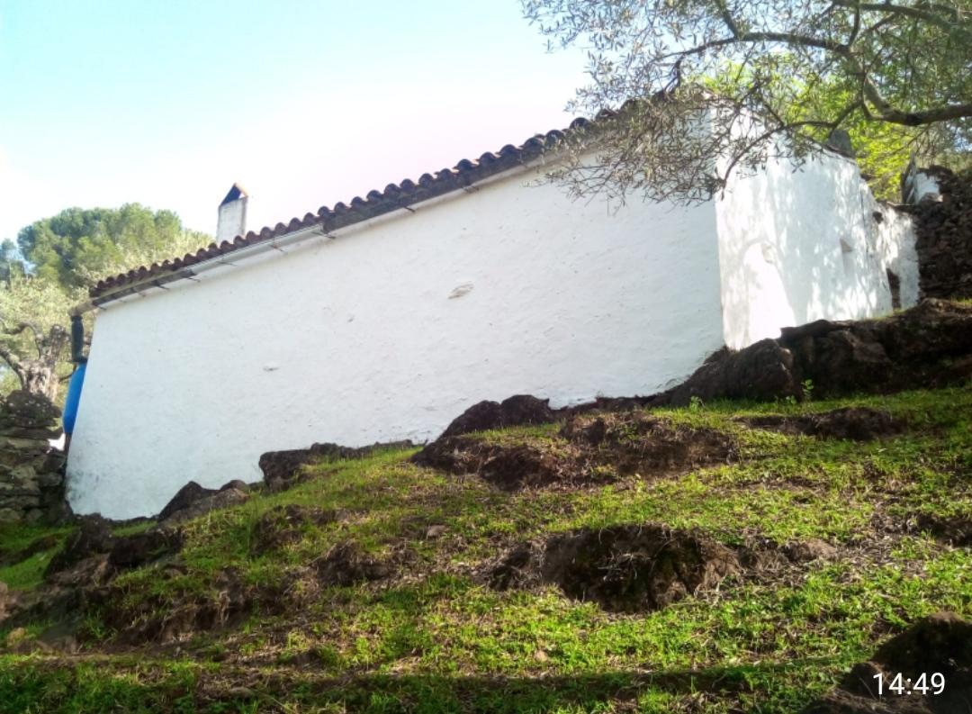 For sale of rural property in Fuentes de León