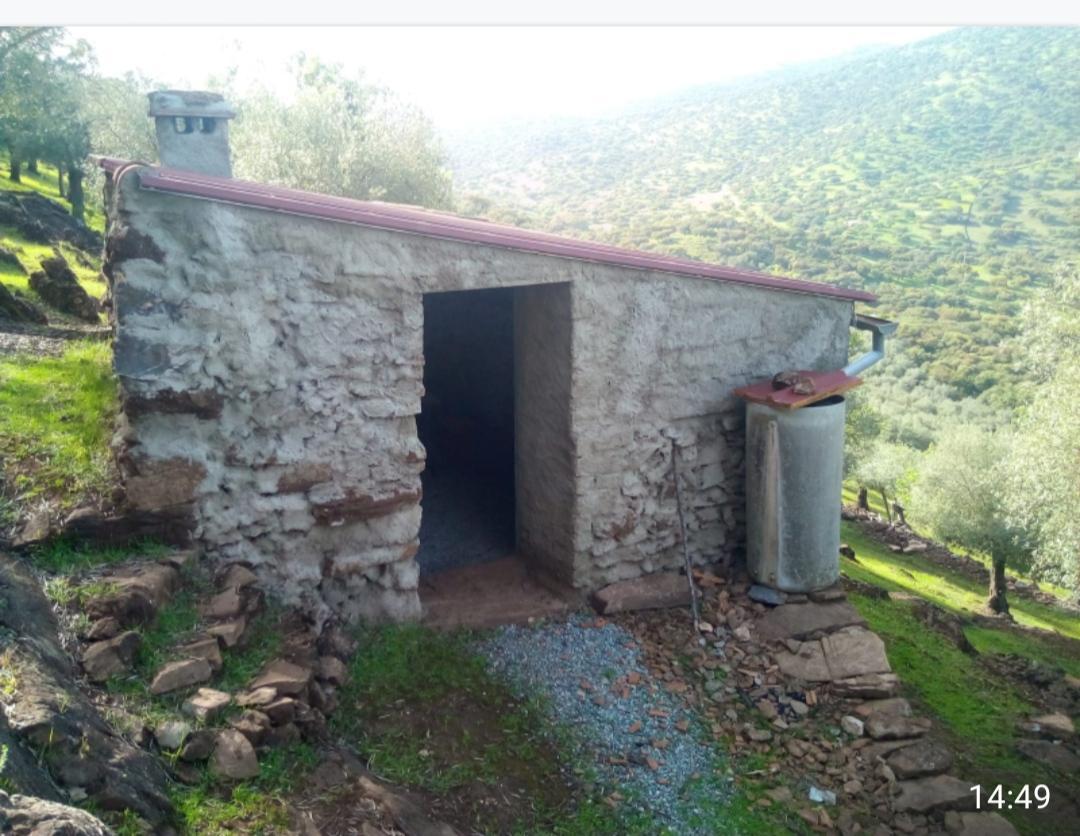 For sale of rural property in Fuentes de León