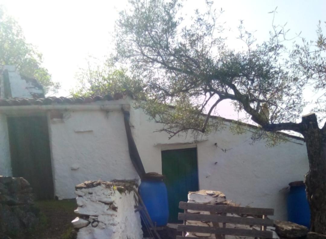For sale of rural property in Fuentes de León