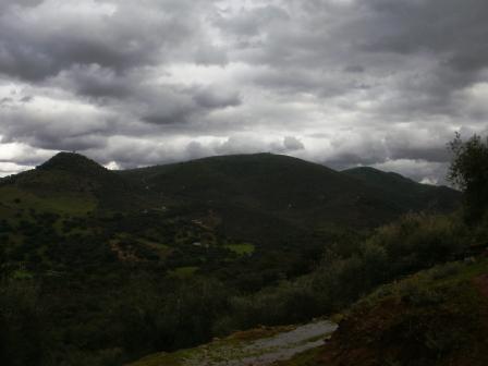 For sale of rural property in Fuentes de León