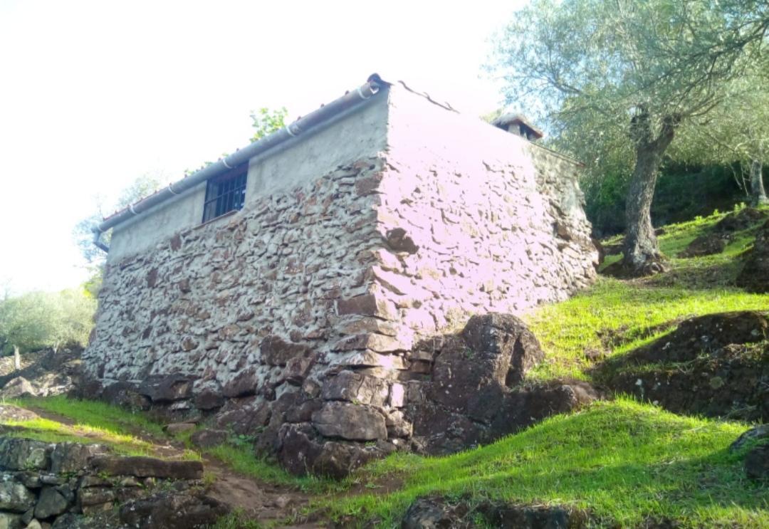 For sale of rural property in Fuentes de León