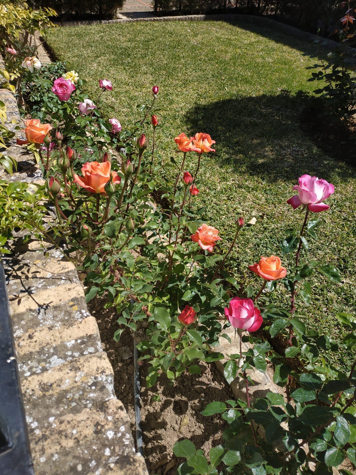 Venta de chalet en Espartinas