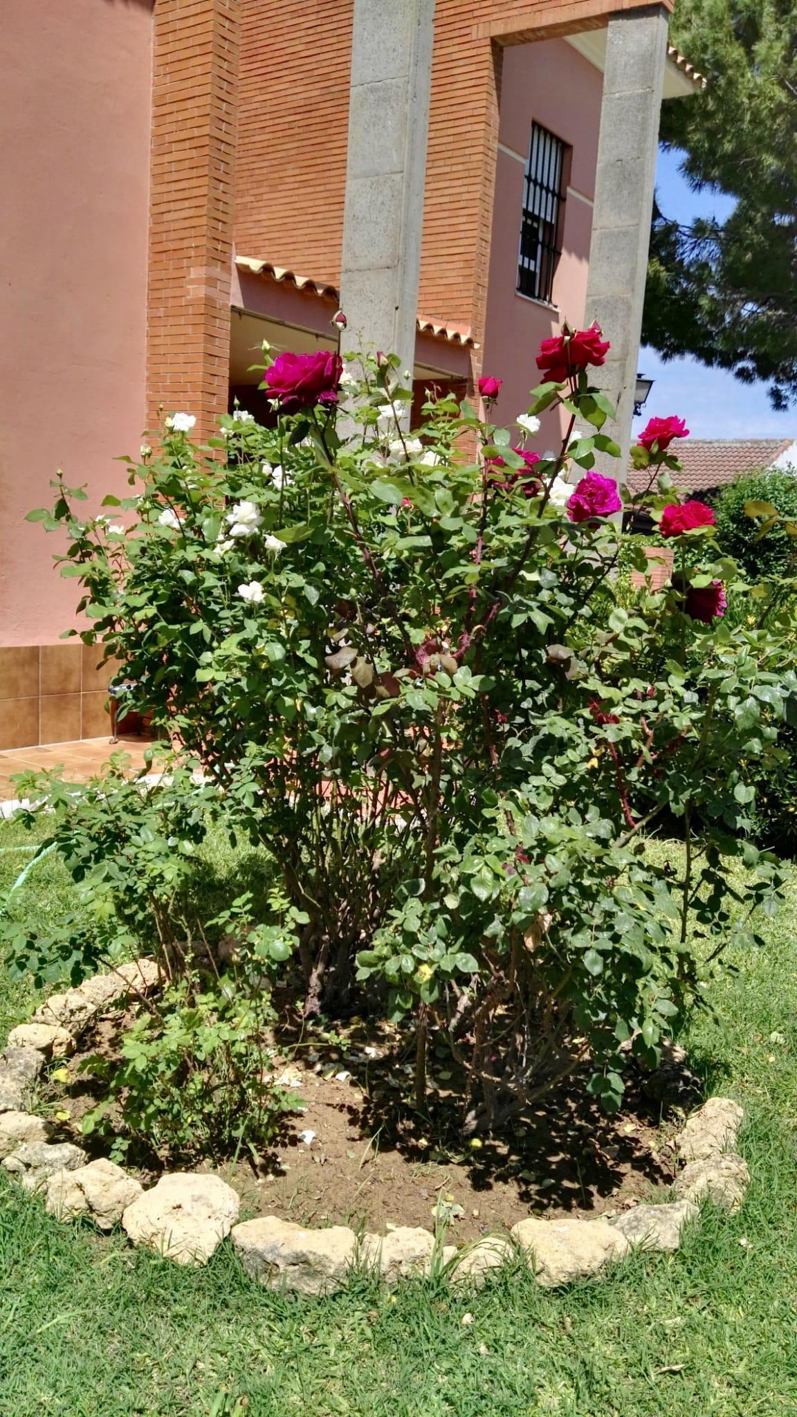 Venta de chalet en Espartinas