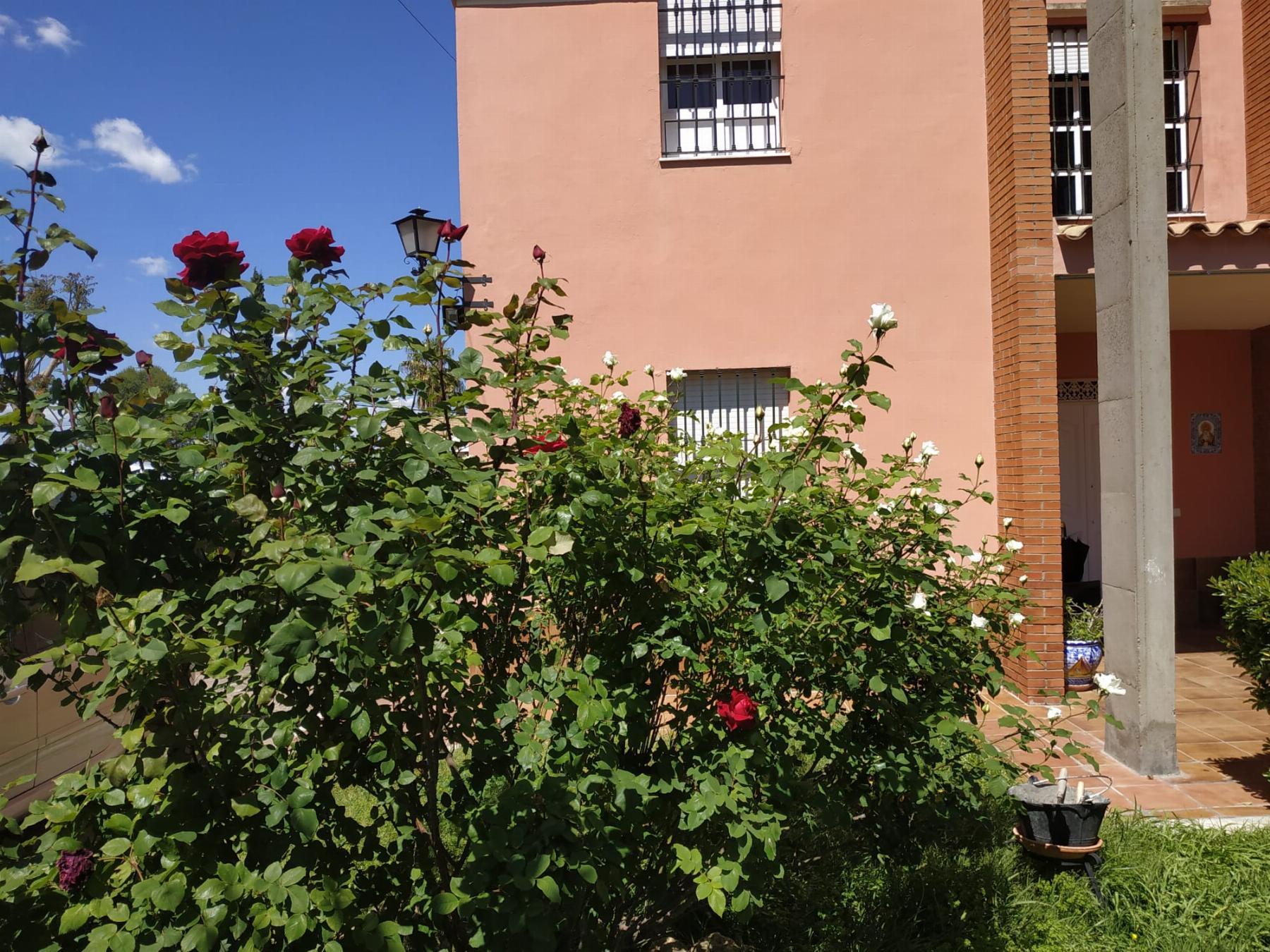 Venta de chalet en Espartinas