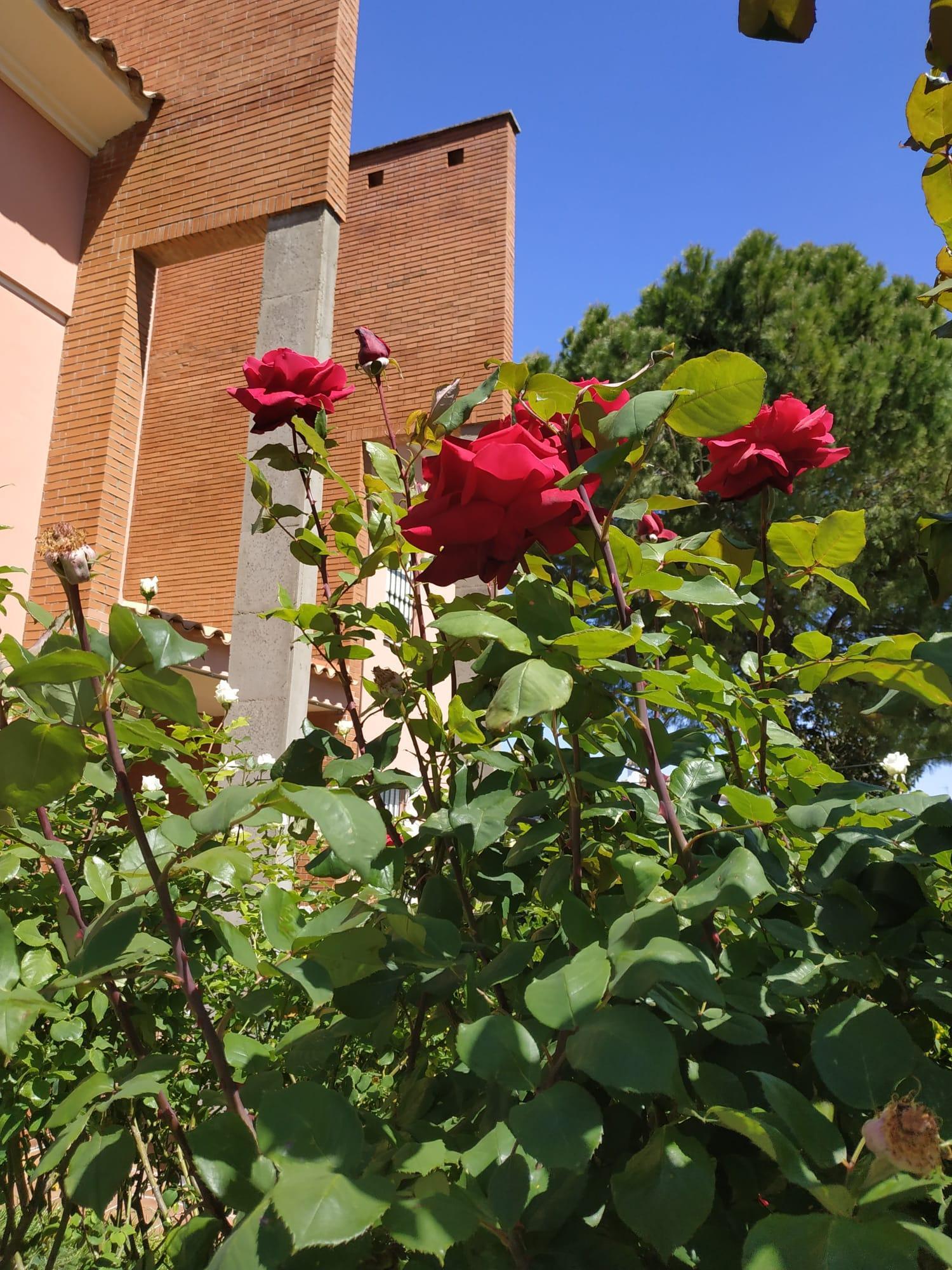 Venta de chalet en Espartinas