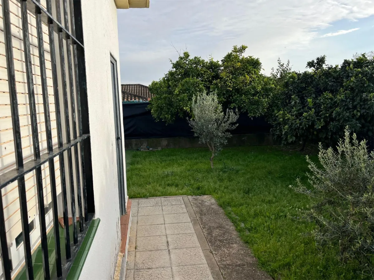 Ground