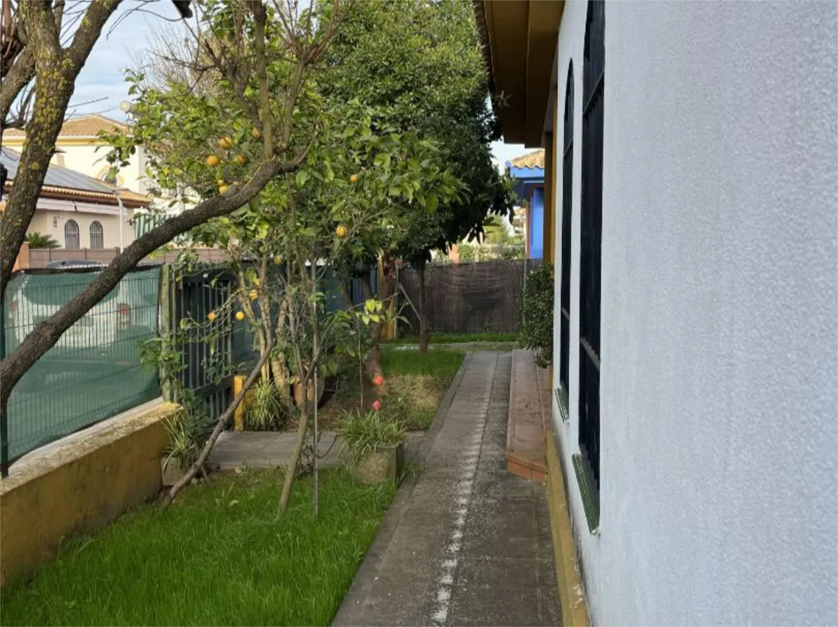 Ground