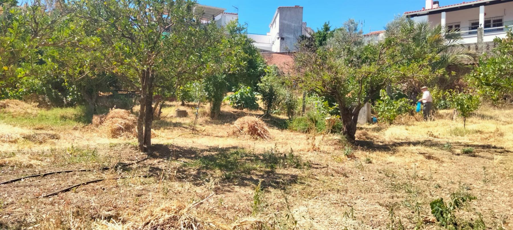Venta de terreno en Cabeza la Vaca