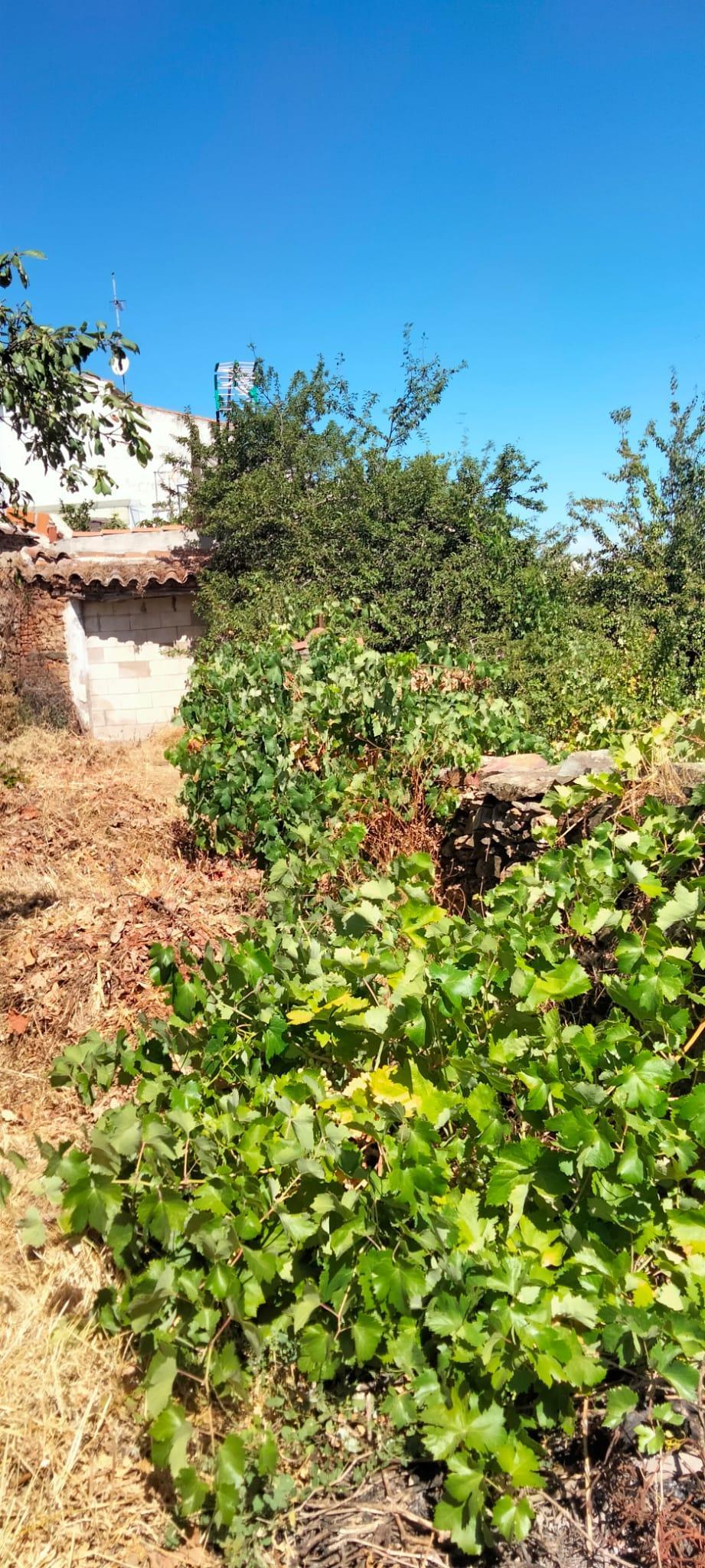 Venta de terreno en Cabeza la Vaca