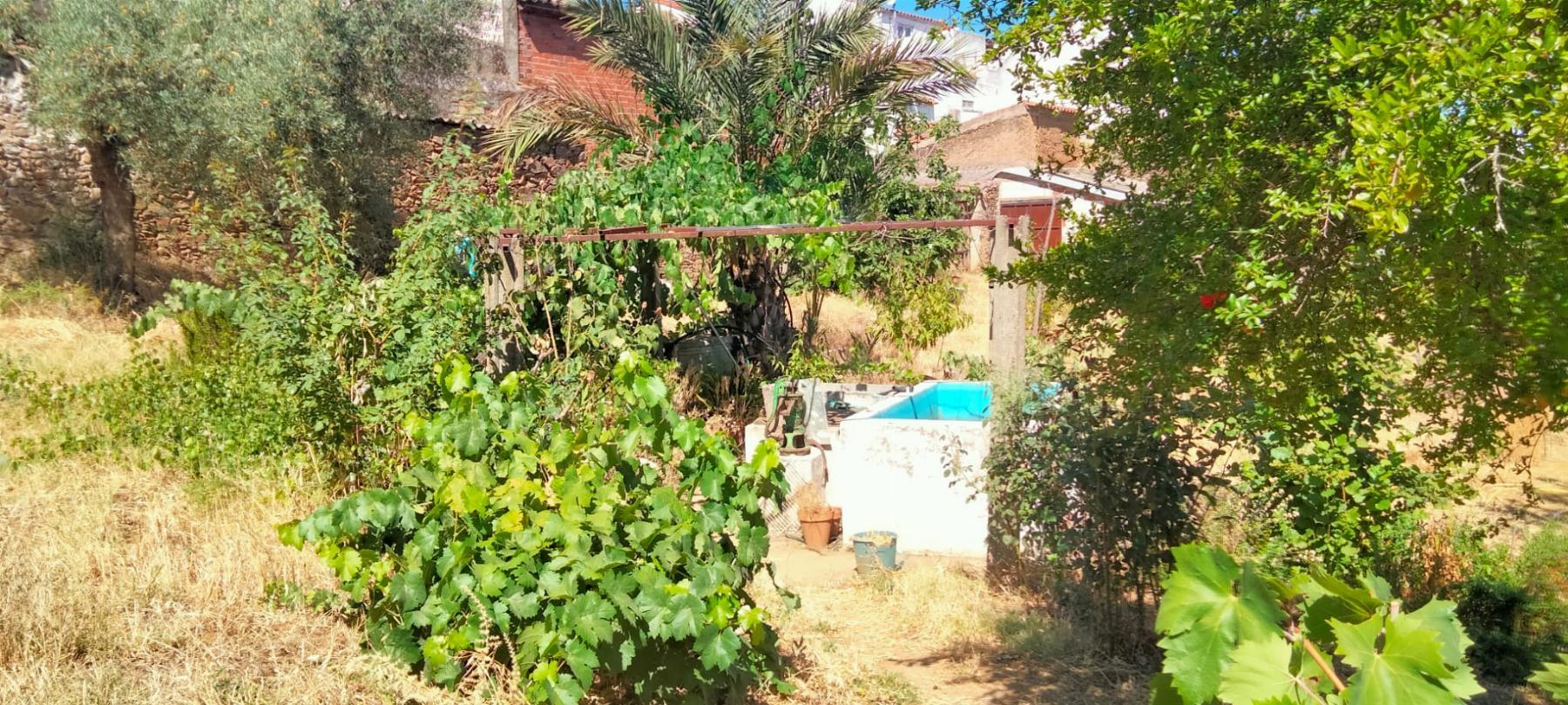 Venta de terreno en Cabeza la Vaca