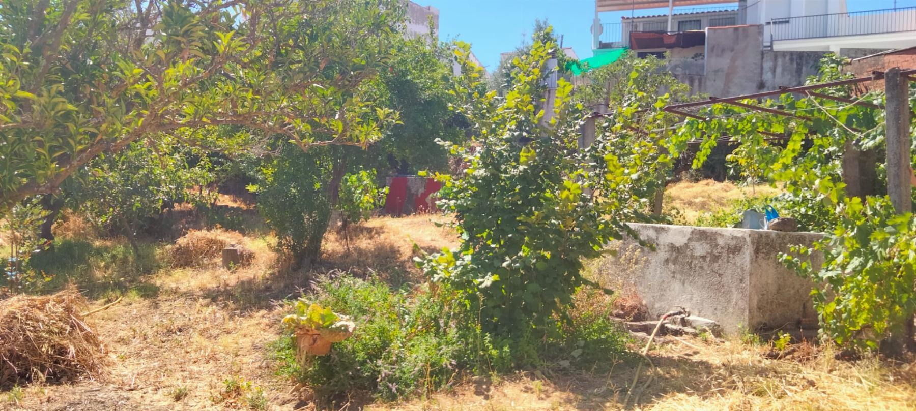 Venta de terreno en Cabeza la Vaca