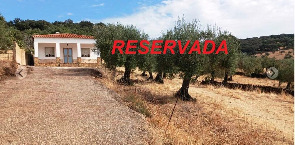 Venta de finca rústica en Fuentes de León