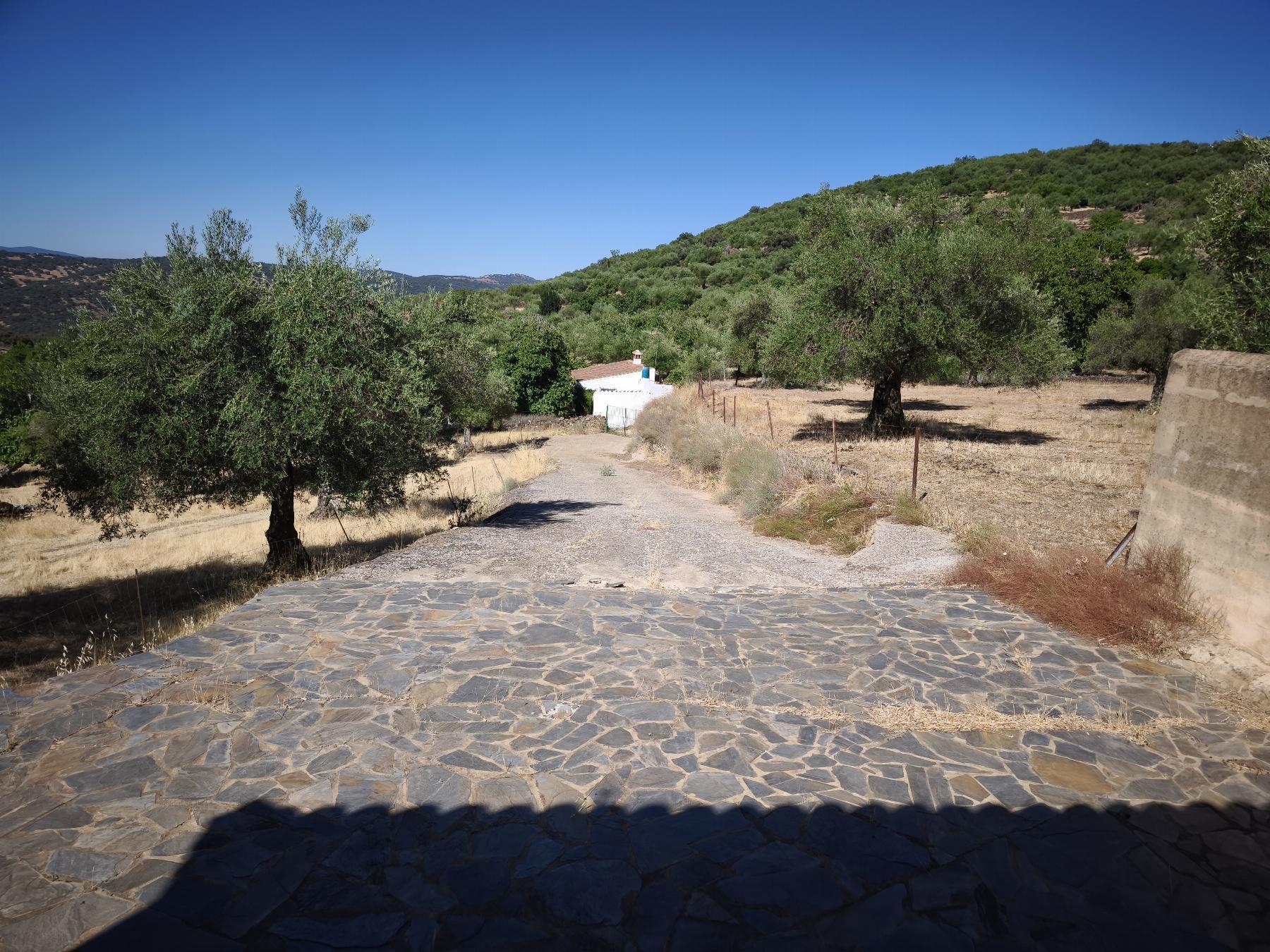 Venta de finca rústica en Fuentes de León