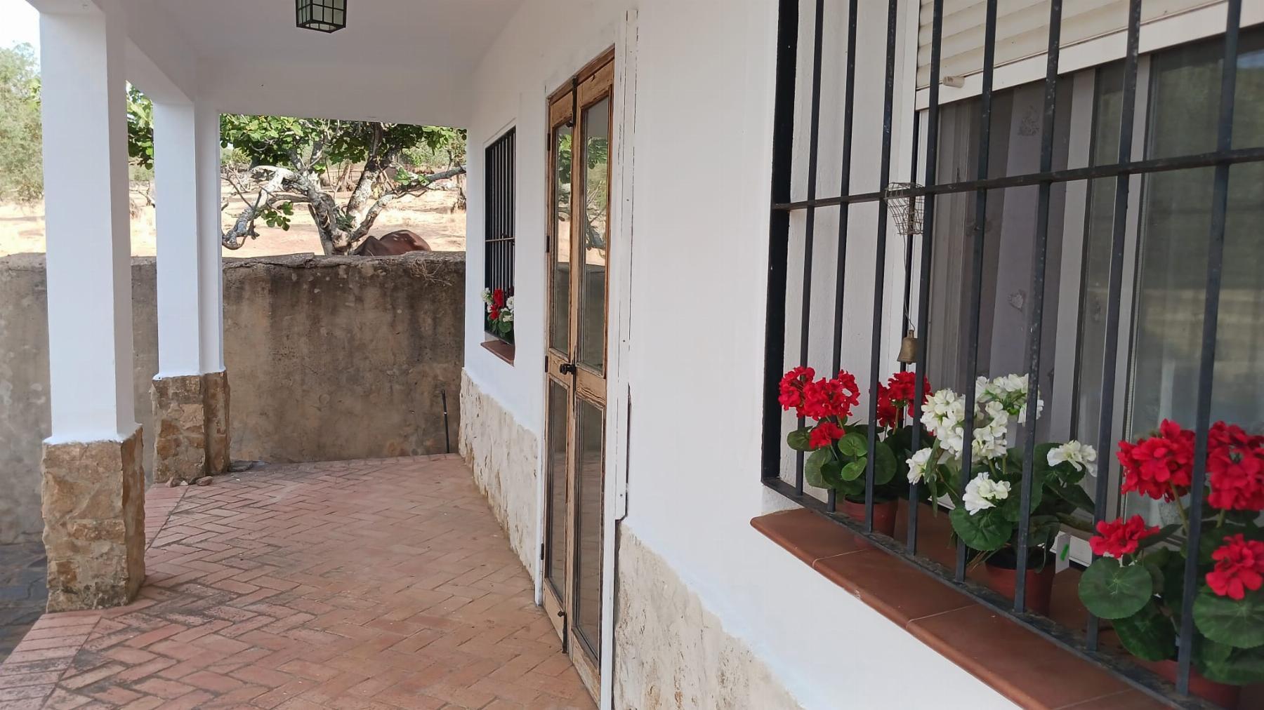Venta de finca rústica en Fuentes de León