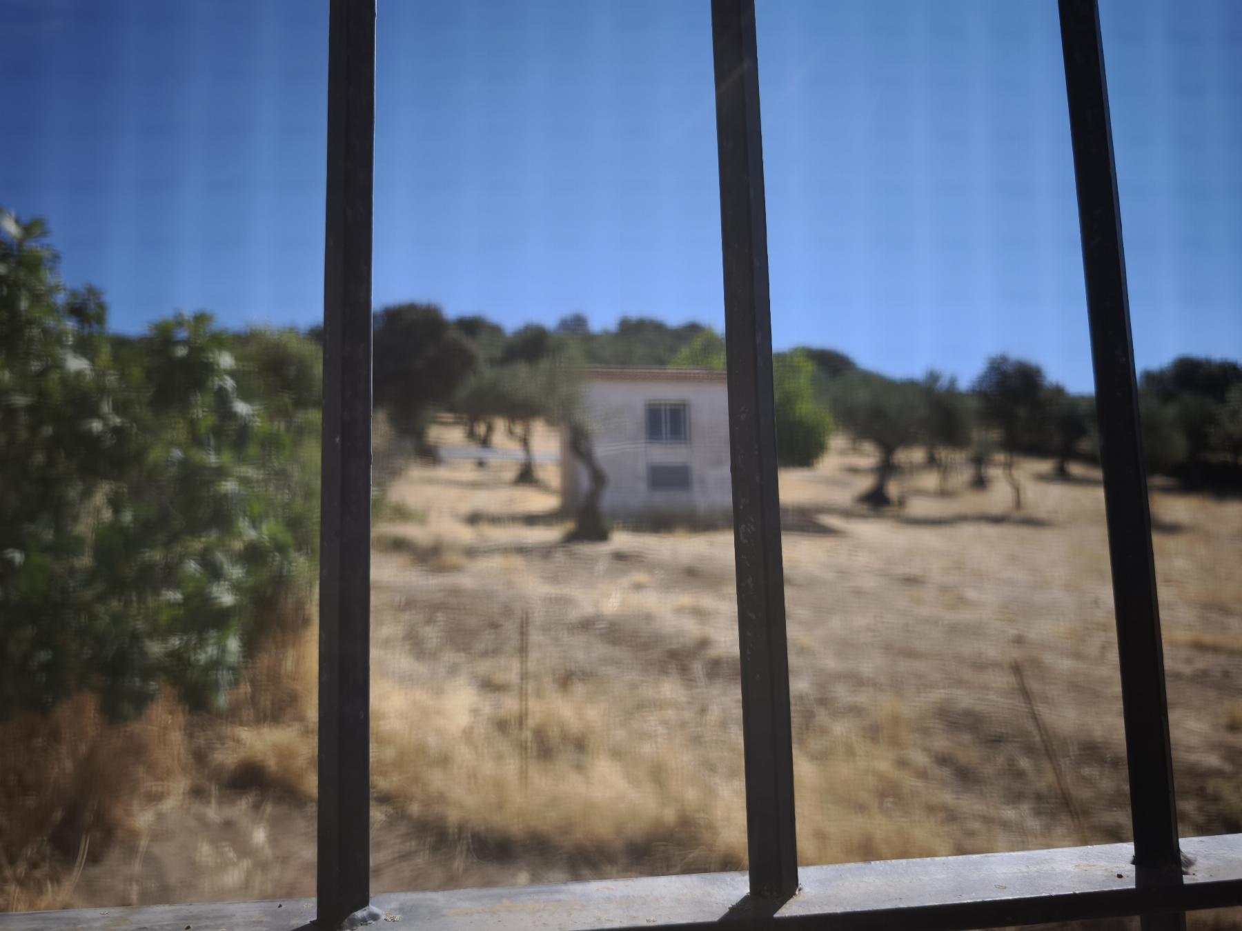 Venta de finca rústica en Fuentes de León
