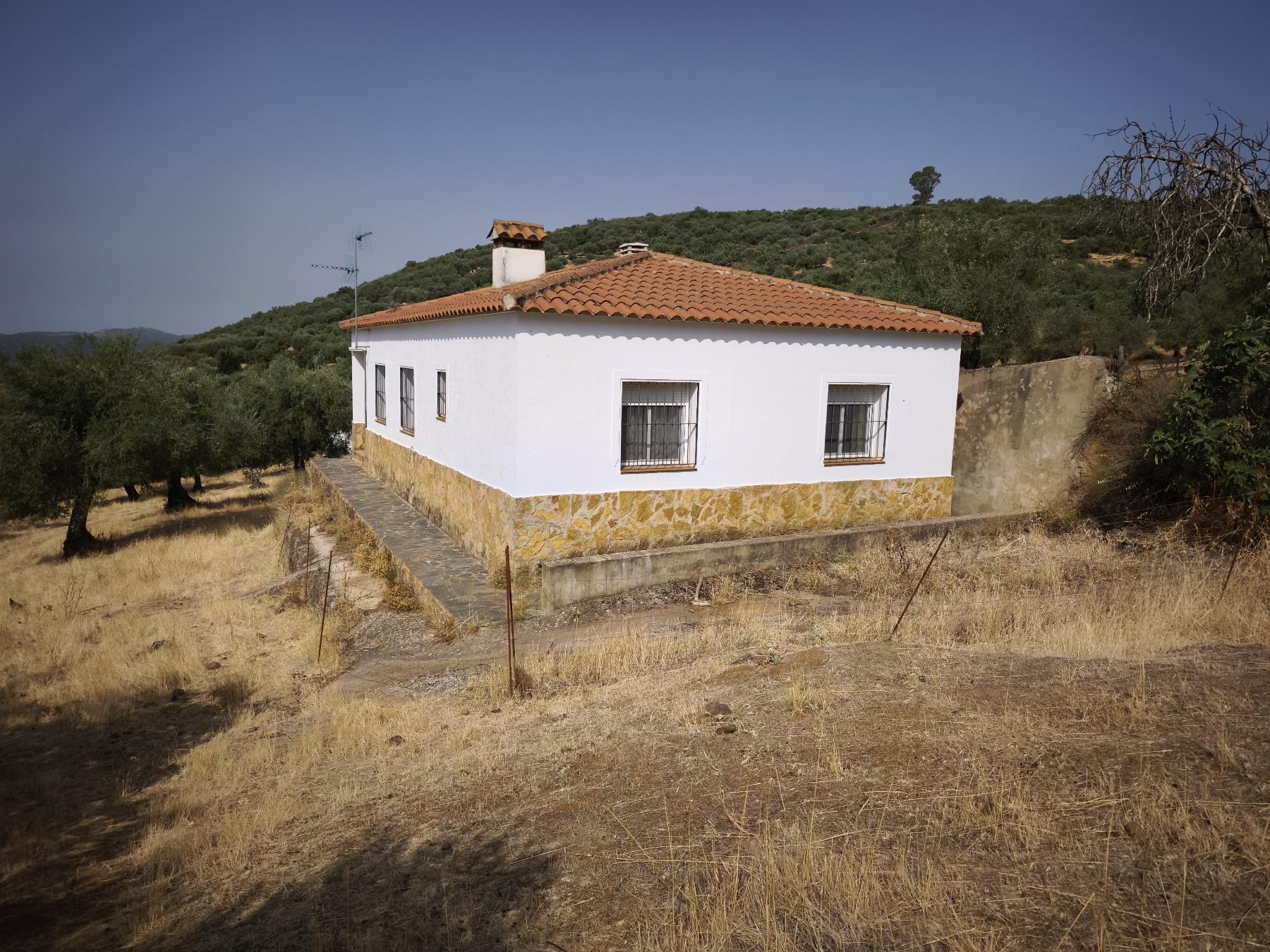 Venta de finca rústica en Fuentes de León