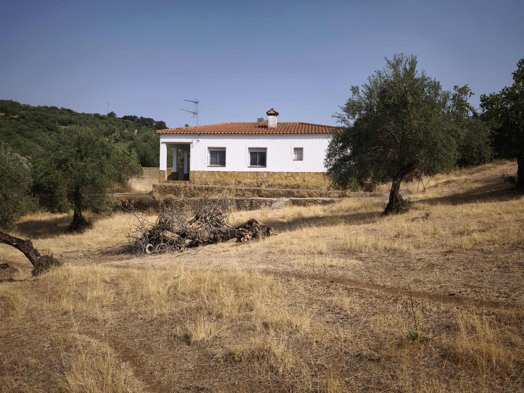 Venta de finca rústica en Fuentes de León