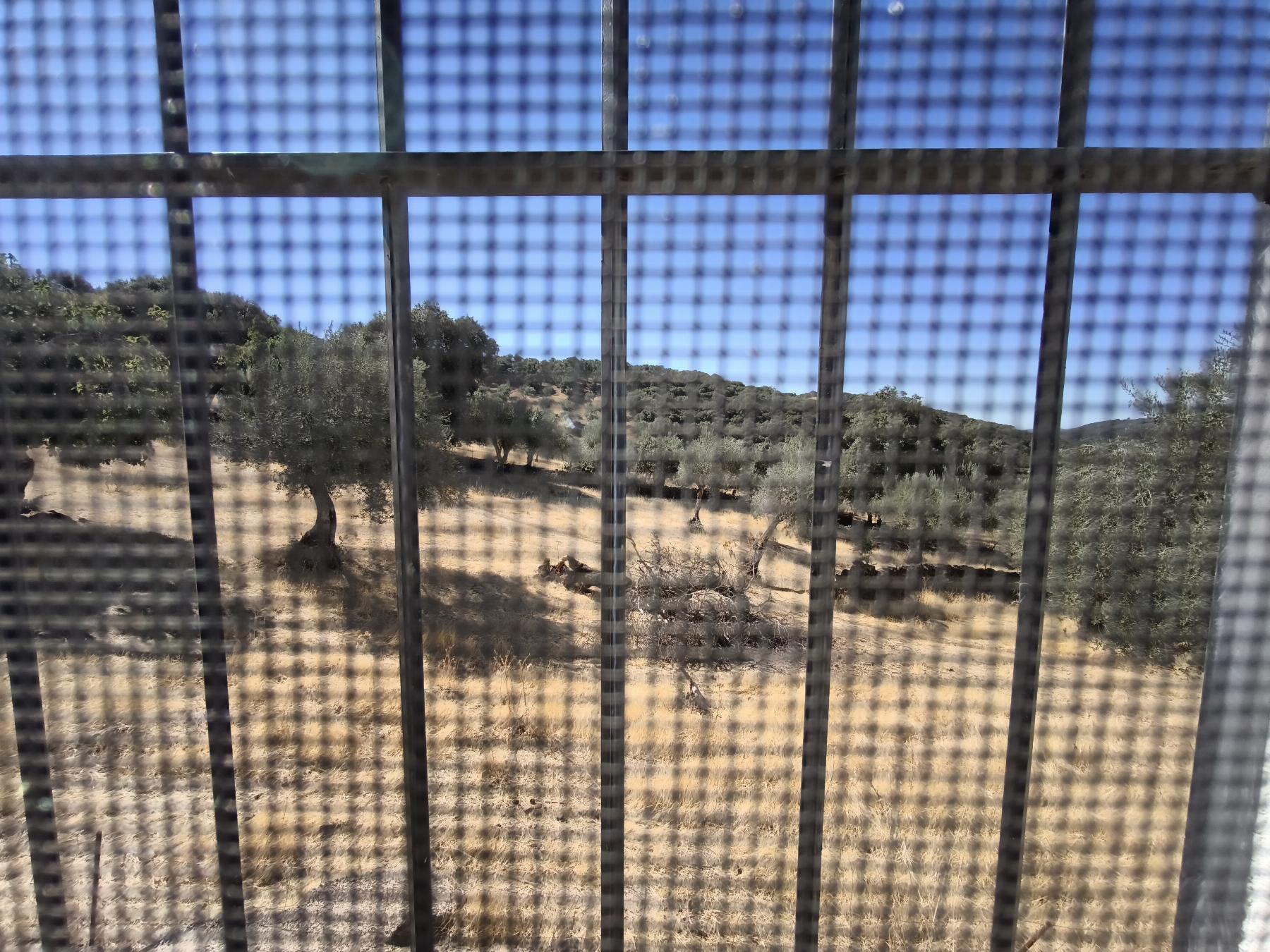 Venta de finca rústica en Fuentes de León