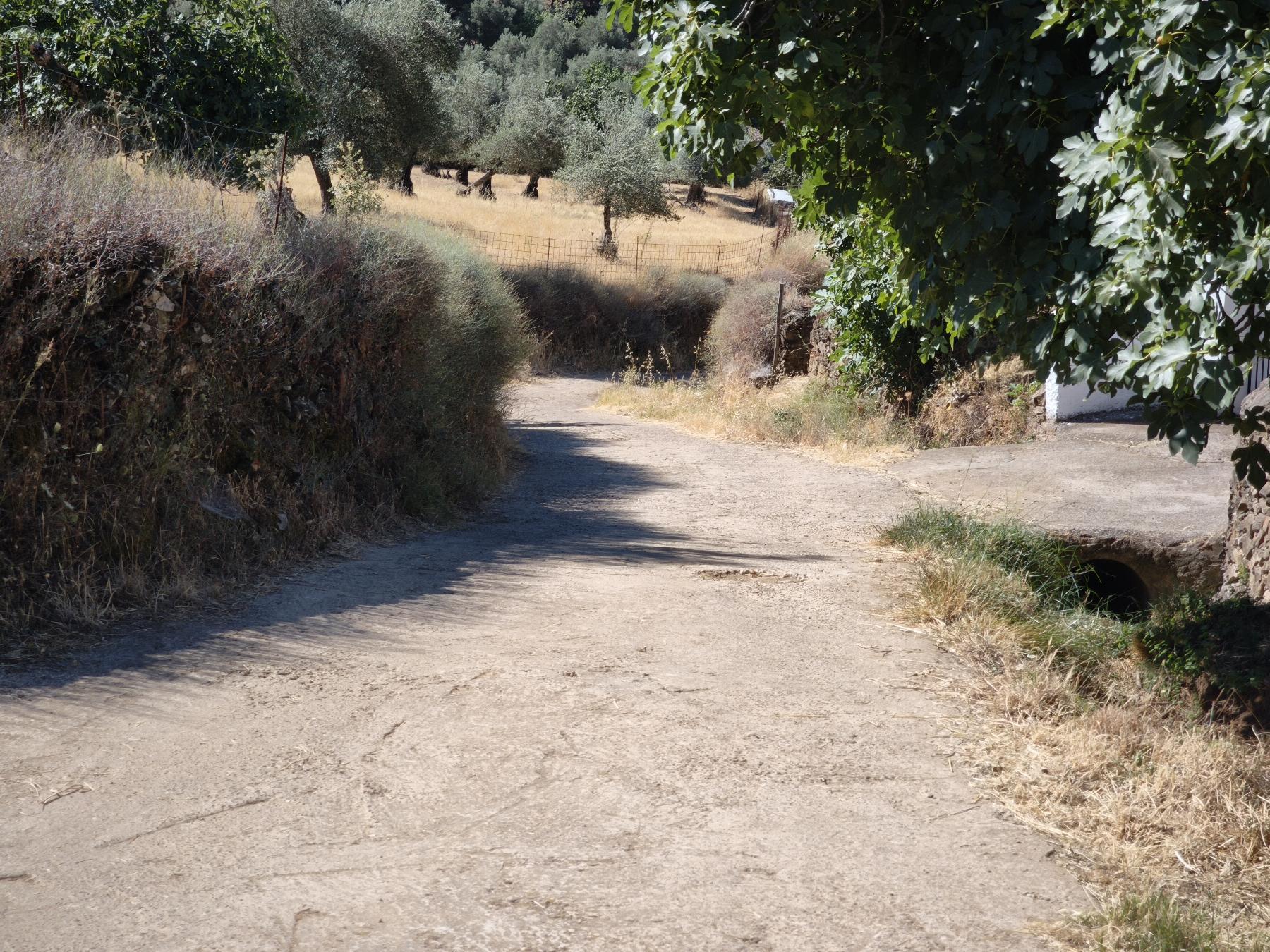Venta de finca rústica en Fuentes de León