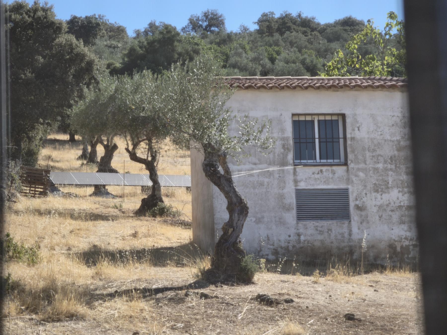 Venta de finca rústica en Fuentes de León