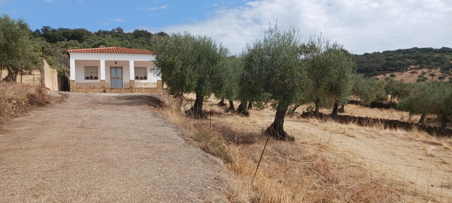 Venta de finca rústica en Fuentes de León