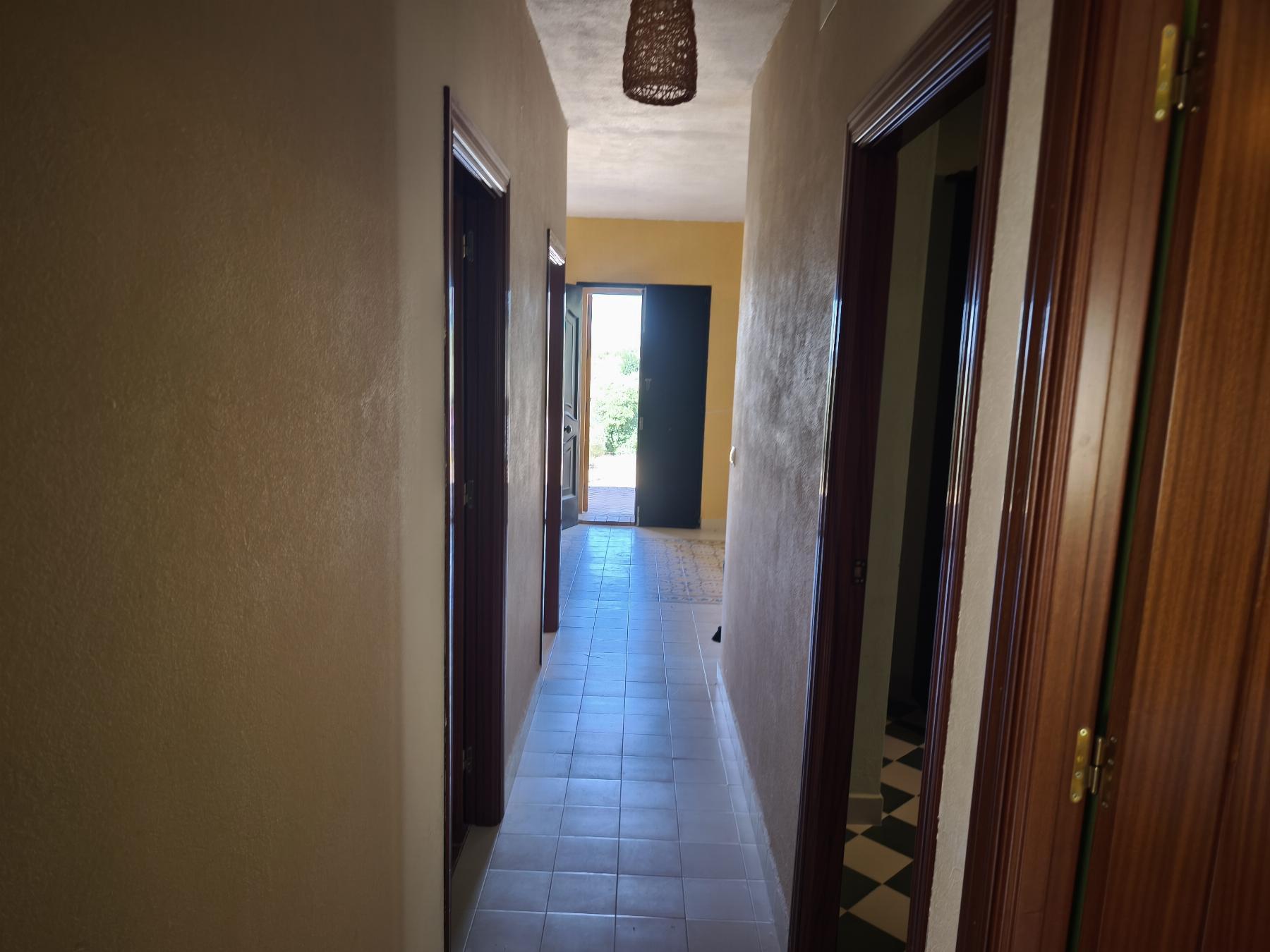 Venta de finca rústica en Fuentes de León
