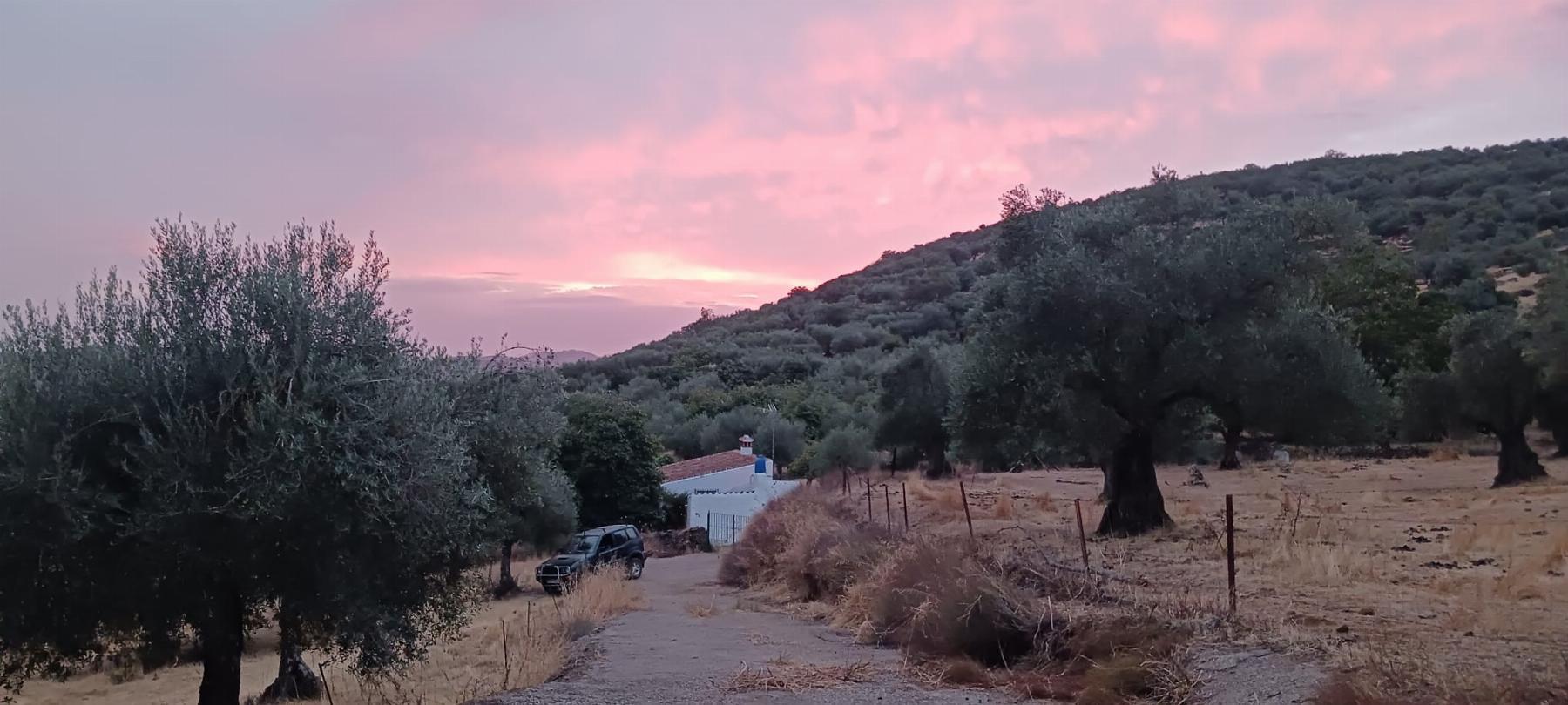 Venta de finca rústica en Fuentes de León