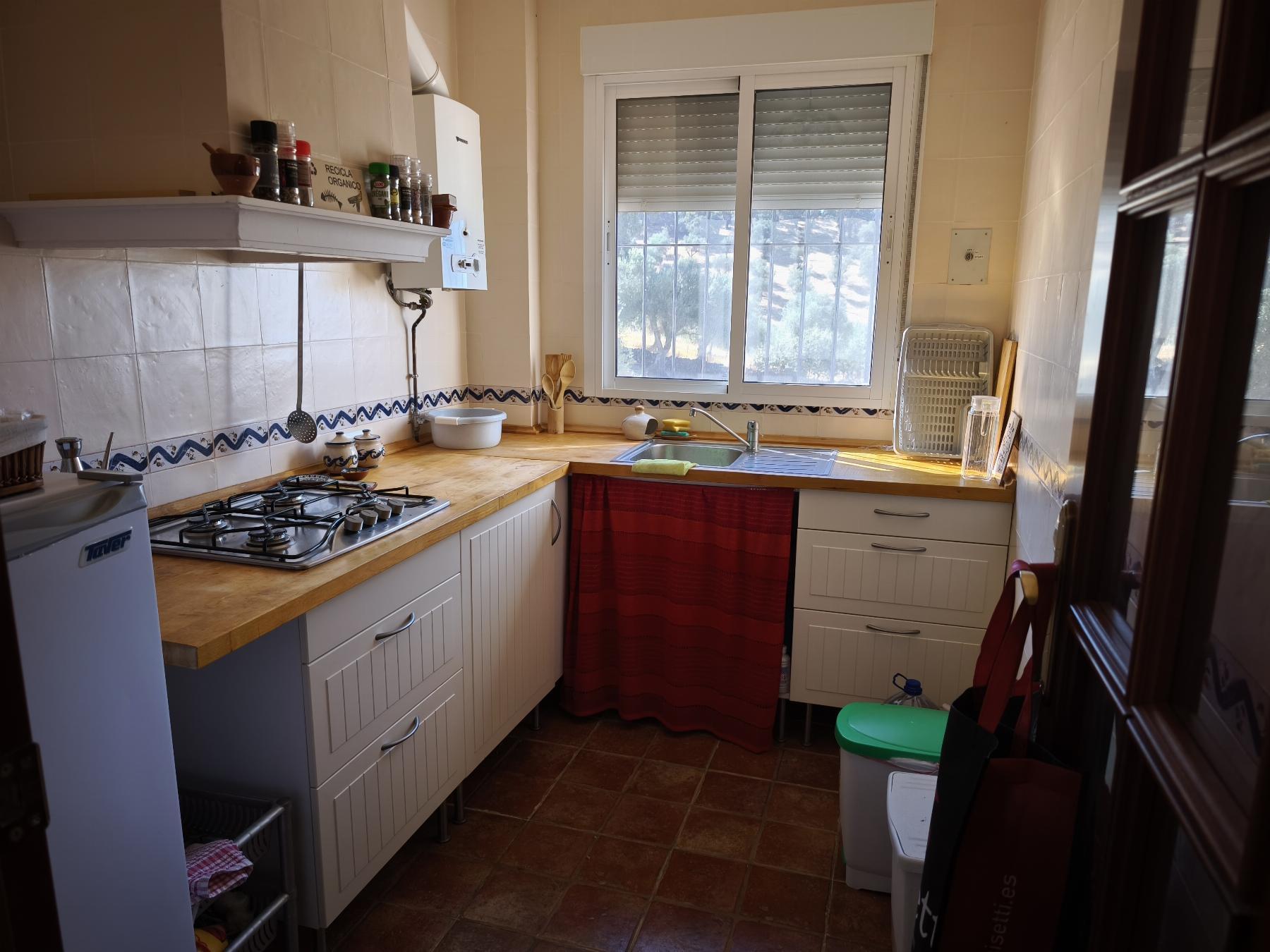 Venta de finca rústica en Fuentes de León