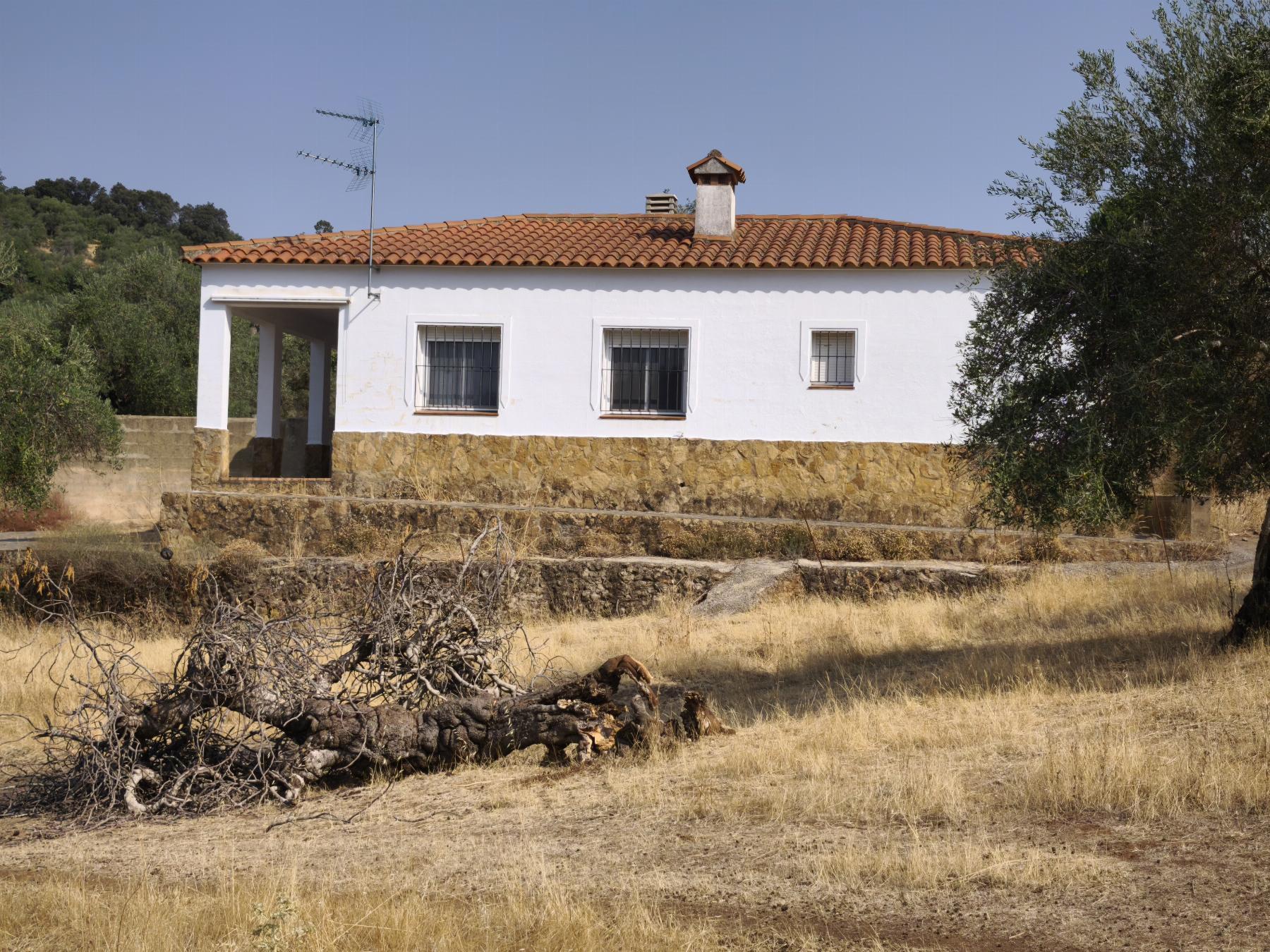 Venta de finca rústica en Fuentes de León
