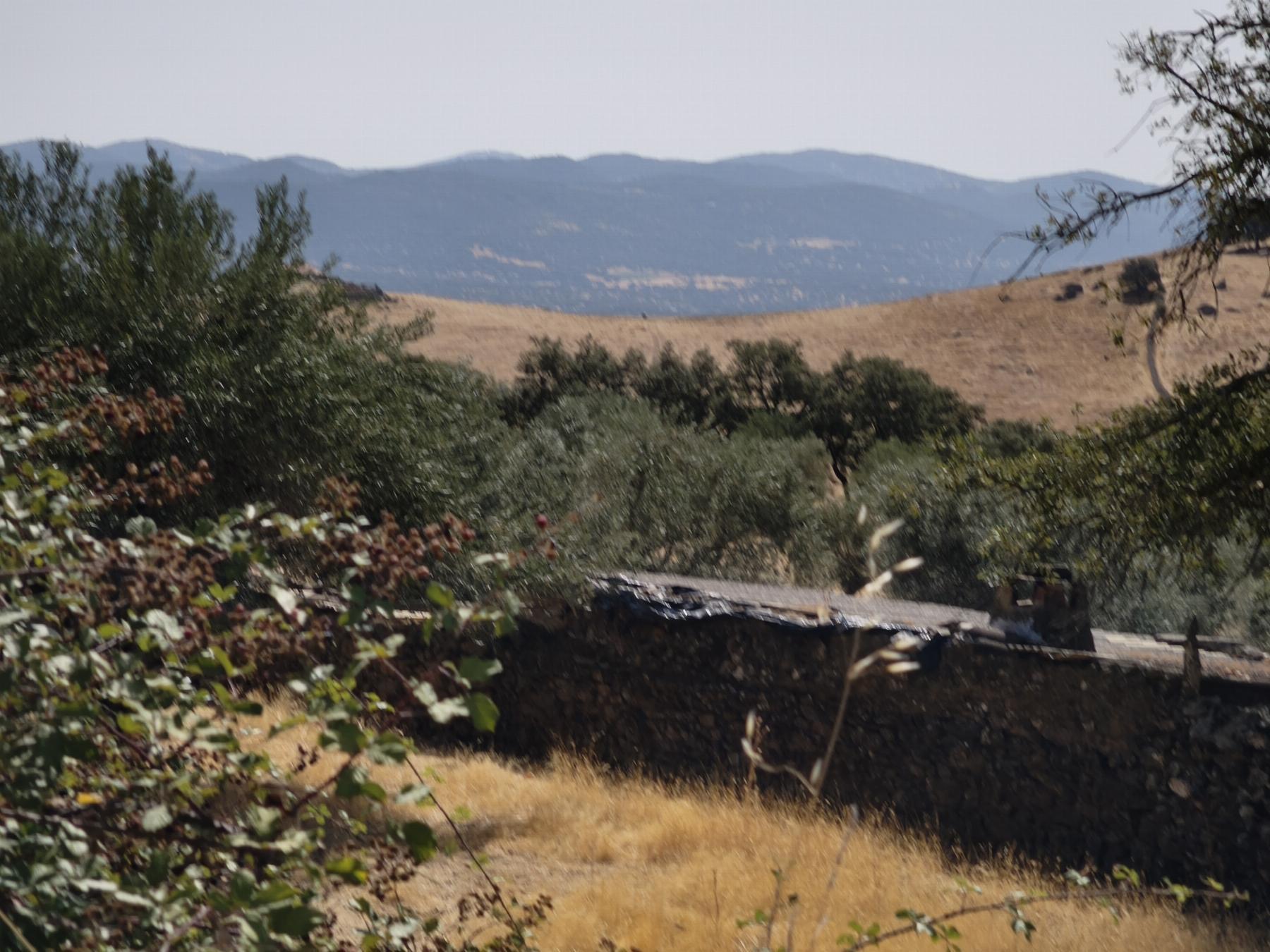 Venta de finca rústica en Fuentes de León