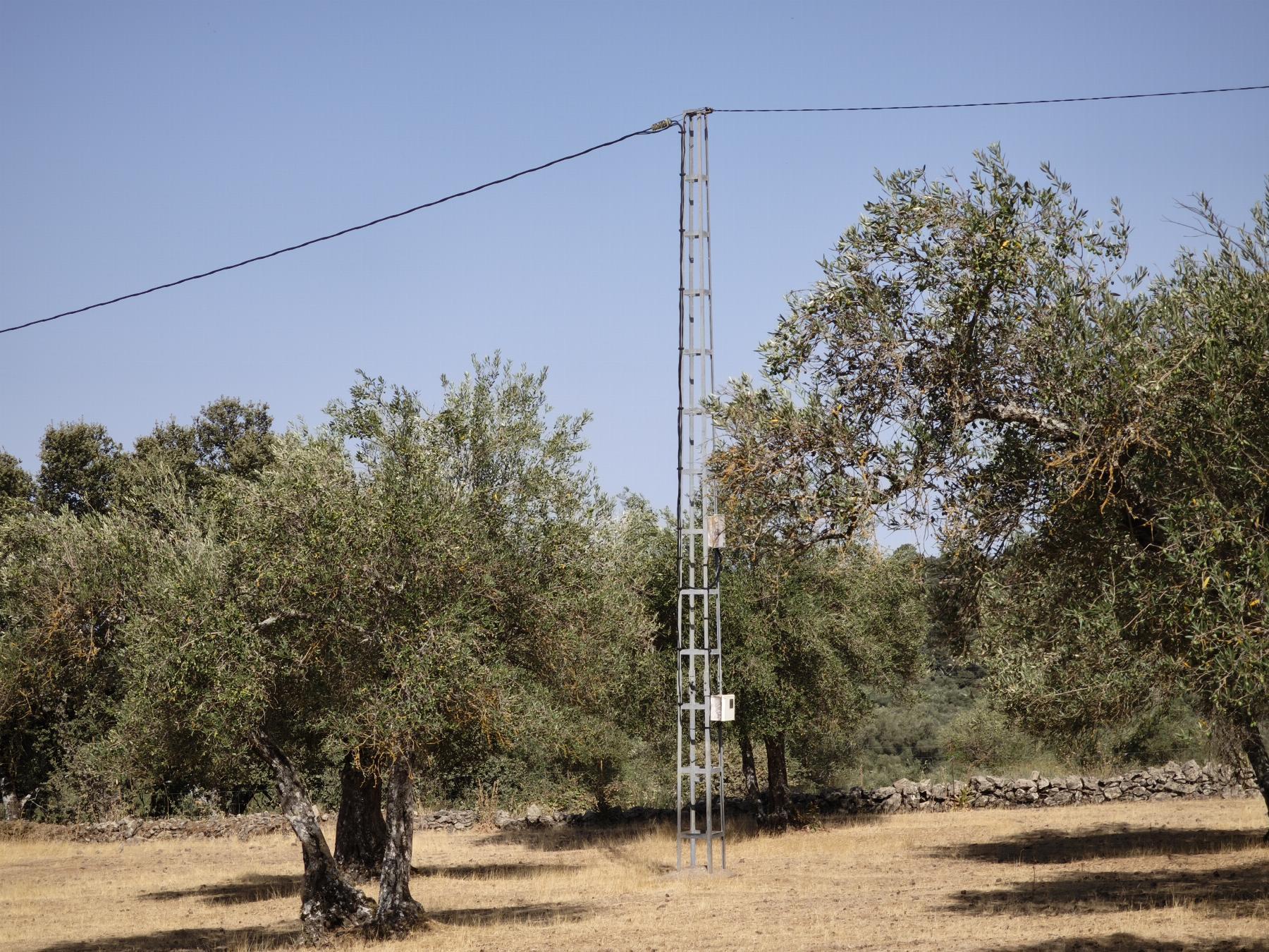 Venta de finca rústica en Fuentes de León