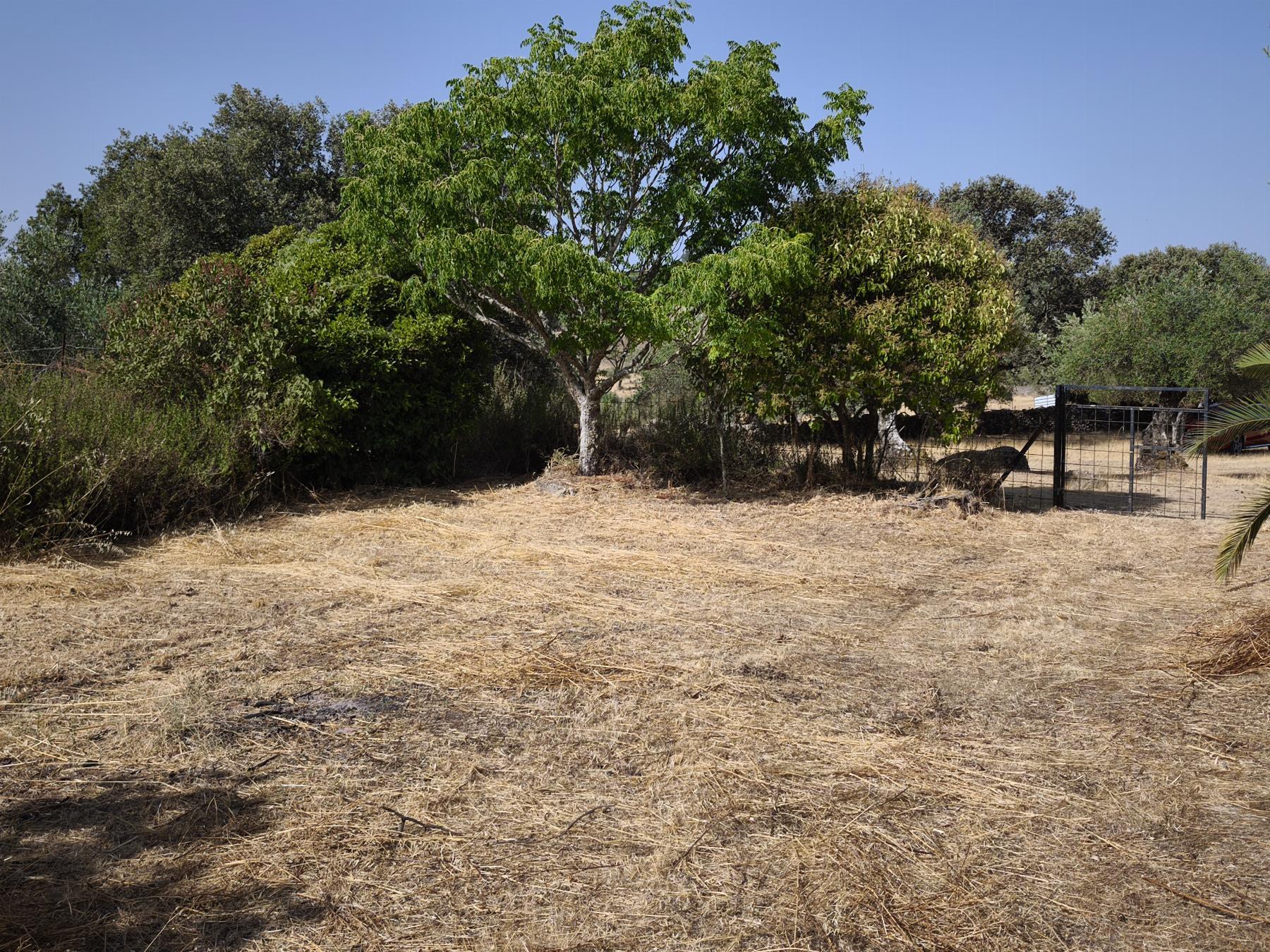 Venta de finca rústica en Fuentes de León