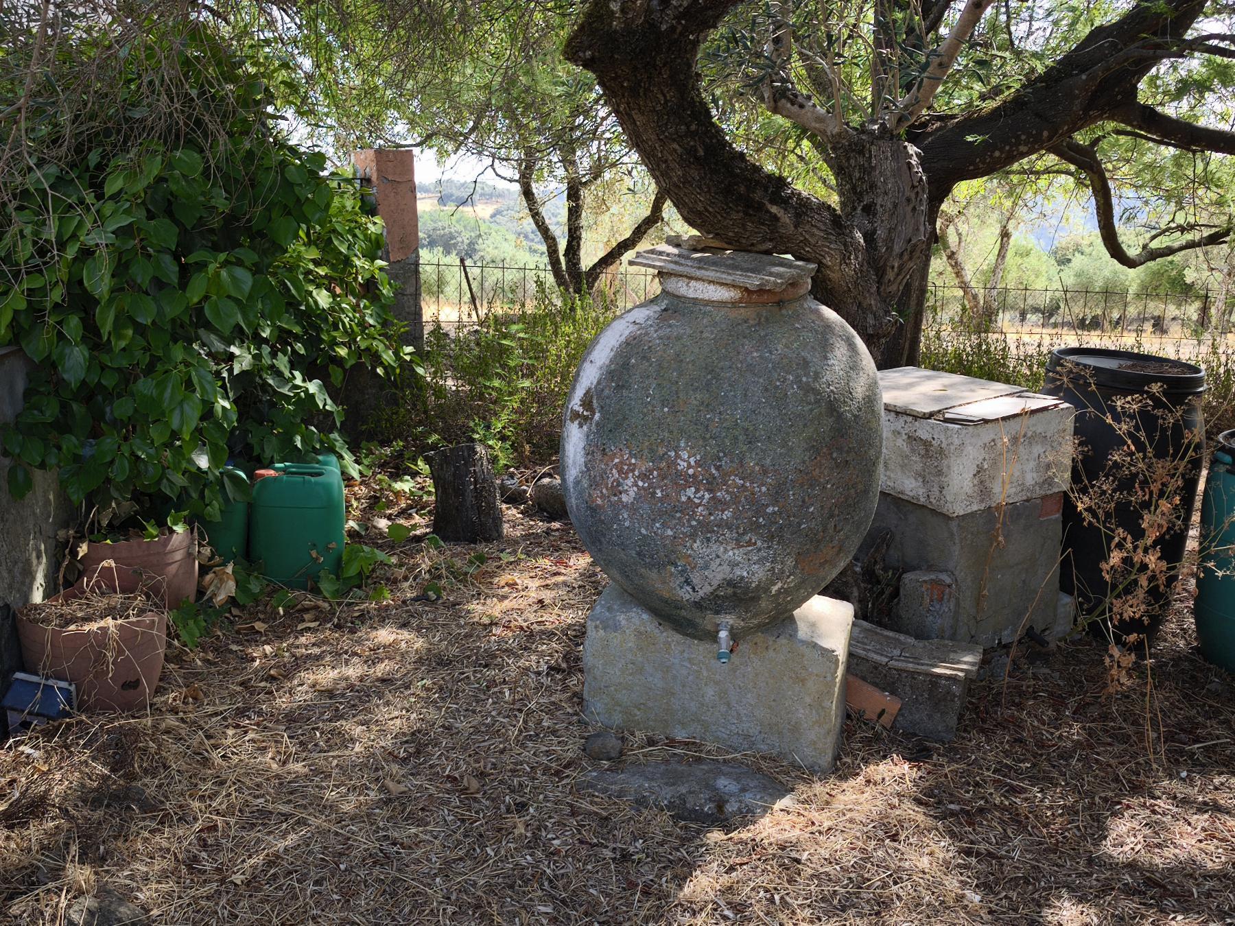 Venta de finca rústica en Fuentes de León