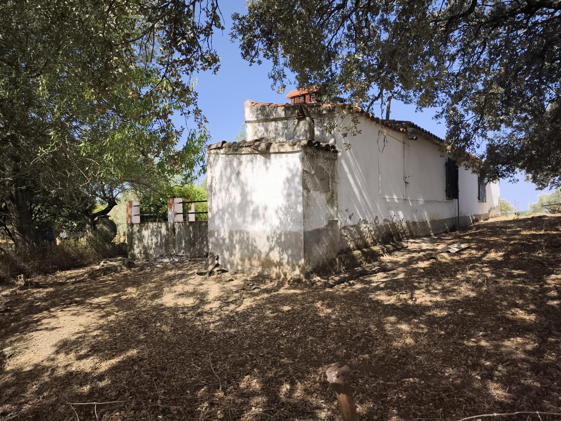 Venta de finca rústica en Fuentes de León